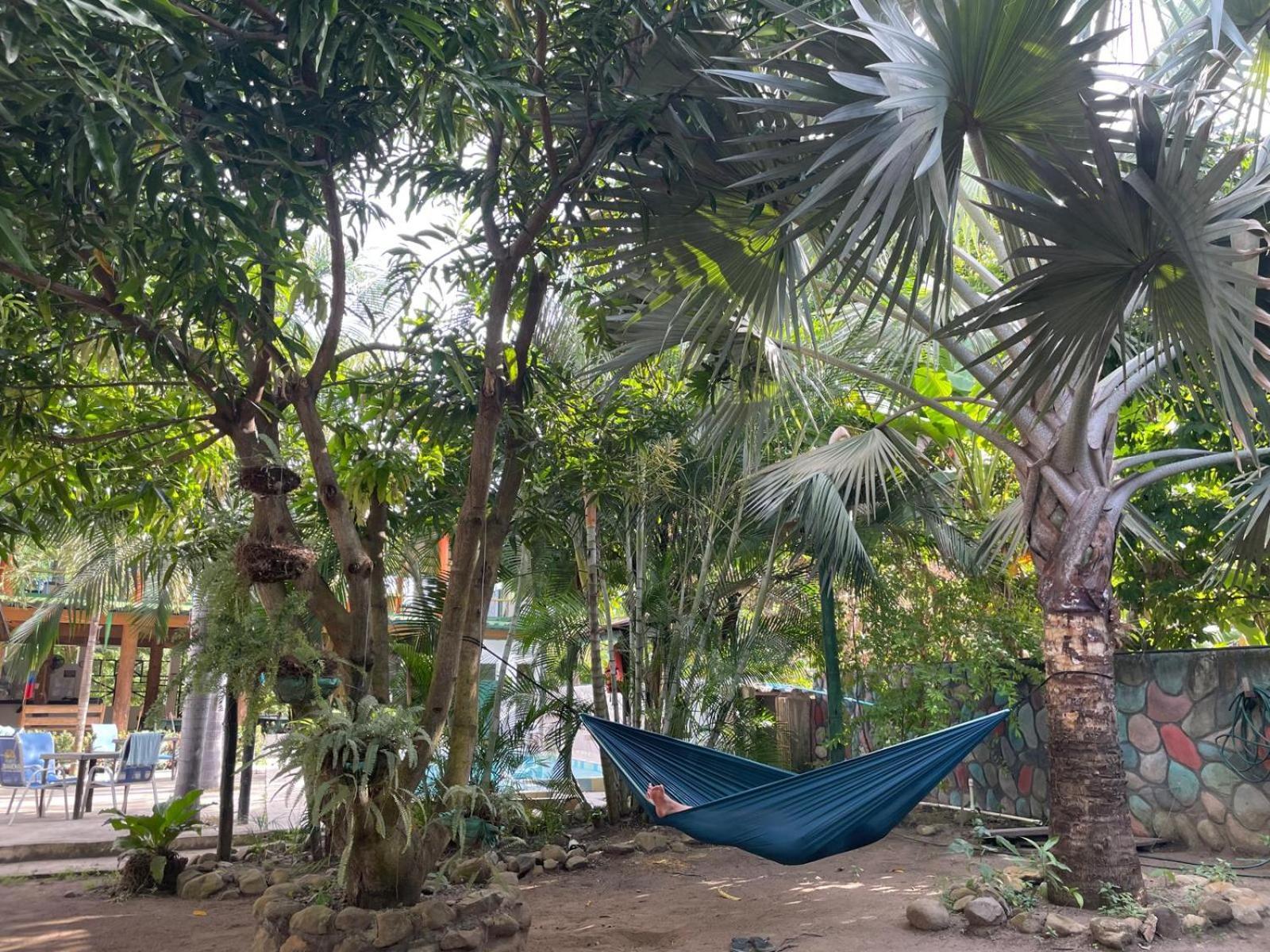 Hostal Luz de Luna Palomino Exterior foto